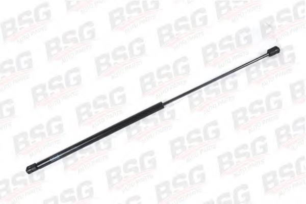 Amortecedor de tampa de porta-malas (de 3ª/5ª porta traseira) 2T14V406A10AB Ford