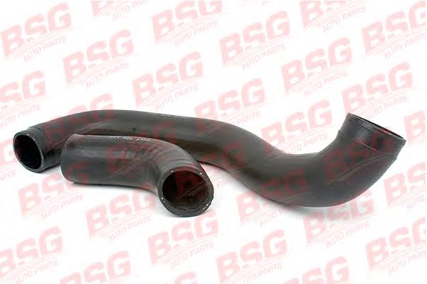 Mangueira (cano derivado) de intercooler Cautex 753240