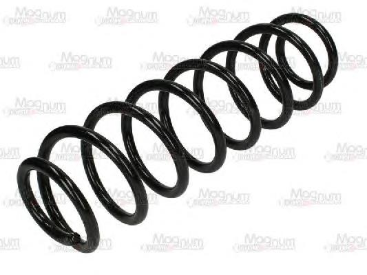 B12560 Borsehung Mola traseira