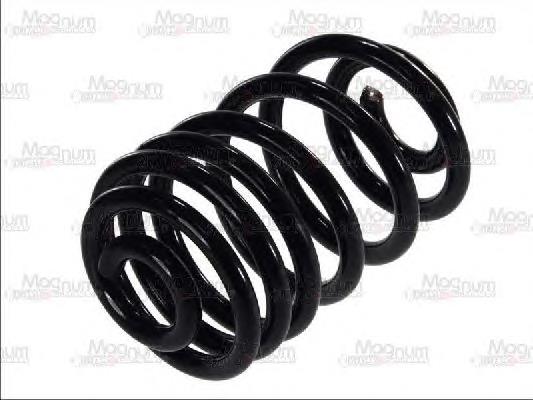 GKNW10125 GKN-Spidan Mola traseira