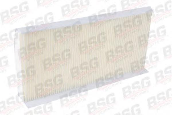 BSG30145003 BSG Filtro de salão
