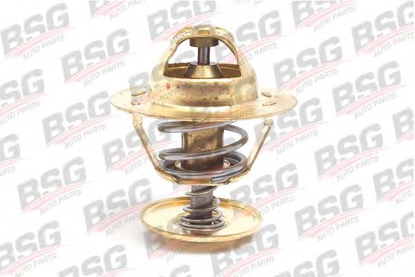 6169774 Ford Termostato