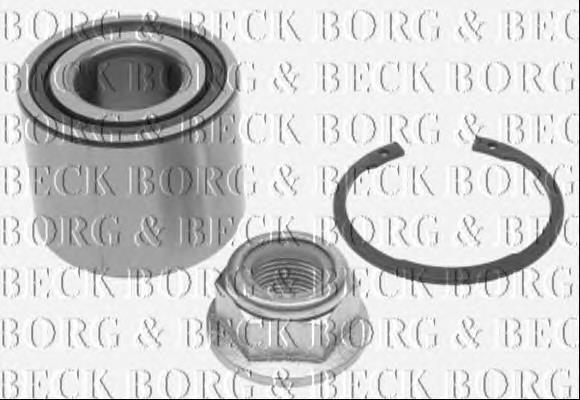 Rolamento de cubo traseiro Renault (RVI) 8660001819