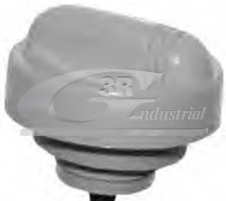 AS202181 Aslyx Sonda (indicador) do nível de óleo no motor