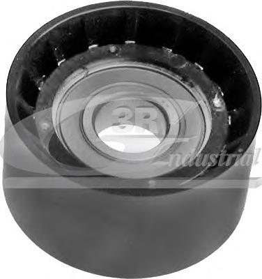 Rolo parasita da correia de transmissão 425692 Triclo
