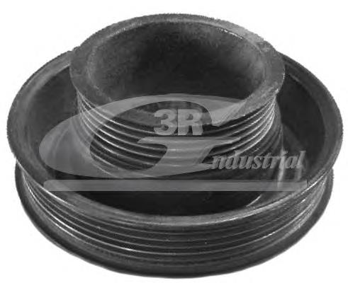 1141497 Ford Polia de cambota