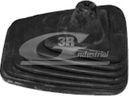 25710 3RG Capa para a avalanca de mudança