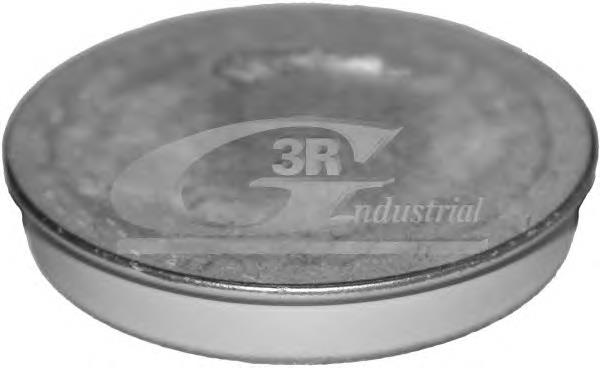 84702 3RG Tampão de cubo