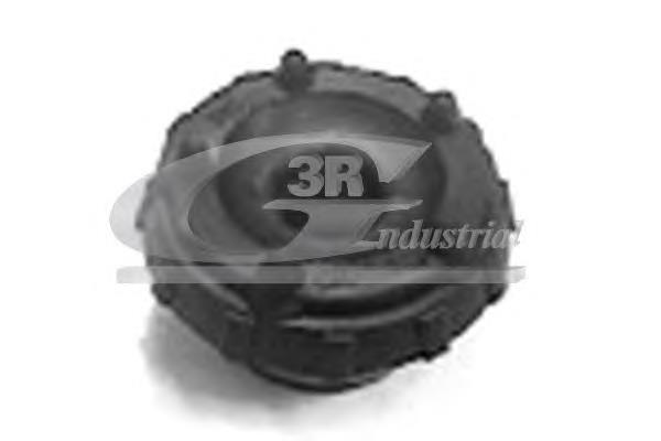 45722 3RG Suporte de amortecedor traseiro
