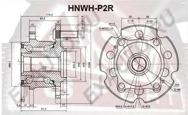 HNWHP2R Asva