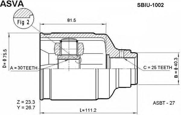 SBIU1002 Asva