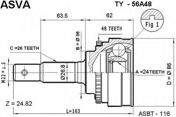 TY56A48 Asva
