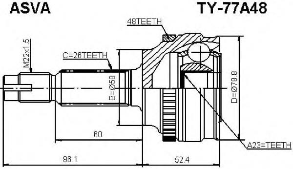 TY77A48 Asva