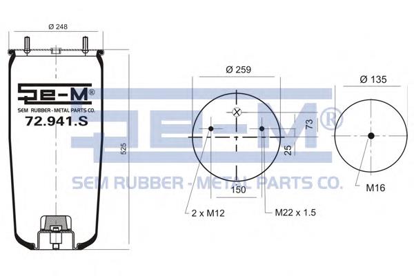 Compre 1016008 Diesel Technic Coxim pneumático (suspensão de lâminas pneumática) do eixo