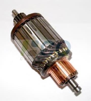 1004011201 Bosch Induzido (rotor) do motor de arranco