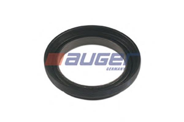 53847 Auger Bucim de cubo traseiro