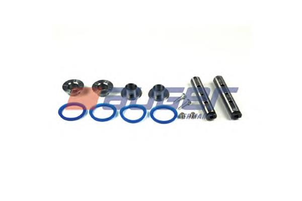51895 Auger Kit de reparação de charneira do amortecedor de cabina (TRUCK)