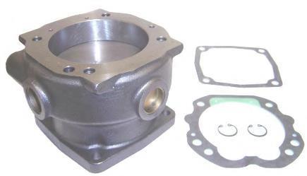 01230010 AIR Fren Kit de pistões do compressor (pistão + camisa) (TRUCK)