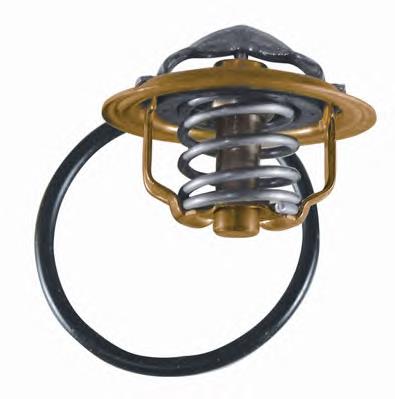 347287D Wahler Termostato