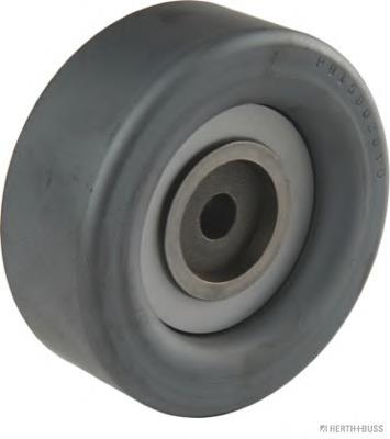 S2528135060 Hyundai/Kia Rolo parasita da correia de transmissão