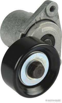 S2528127060 Hyundai/Kia Reguladora de tensão da correia de transmissão