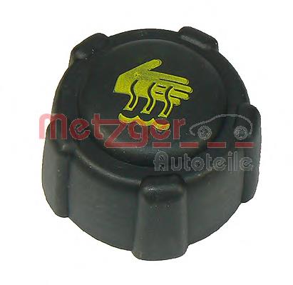 Compre FT94707 Fast Tampa (tampão) do tanque de expansão