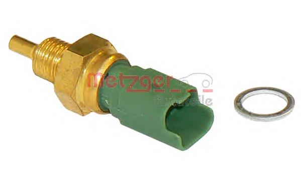 Sensor de temperatura do fluido de esfriamento Beru ST244