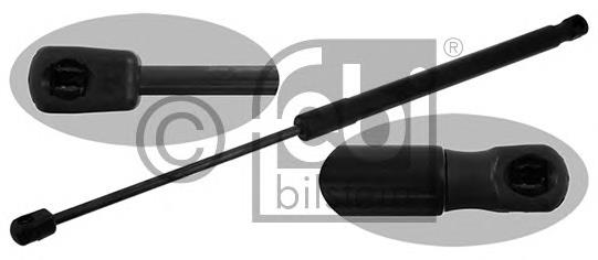 ZS07050 Japan Parts Amortecedor de tampa de porta-malas (de 3ª/5ª porta traseira)