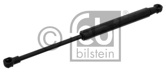 Amortecedor de tampa de porta-malas (de 3ª/5ª porta traseira) 60680087 Fiat/Alfa/Lancia