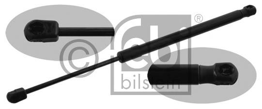 Amortecedor de tampa de porta-malas (de 3ª/5ª porta traseira) GS0844 Magneti Marelli