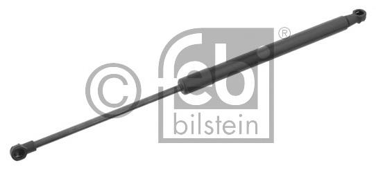 Amortecedor de tampa de porta-malas (de 3ª/5ª porta traseira) BMW 51244365788