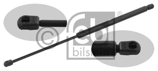 Amortecedor de tampa de porta-malas (de 3ª/5ª porta traseira) Hyundai/Kia 817713A001