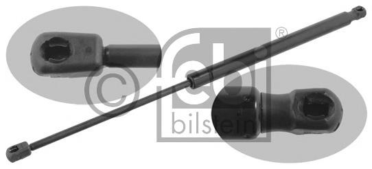 Amortecedor de tampa de porta-malas (de 3ª/5ª porta traseira) Peugeot/Citroen 8731Q8