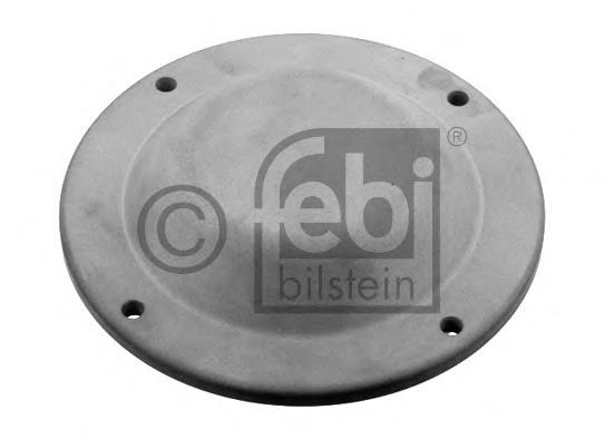 Compre 1691965 DAF Tampão de cubo