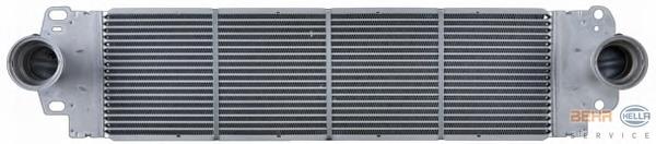 Radiador de intercooler Vika 11450802501