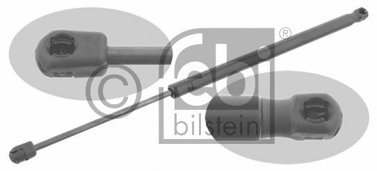 Amortecedor de tampa de porta-malas (de 3ª/5ª porta traseira) 8200119500 Renault (RVI)