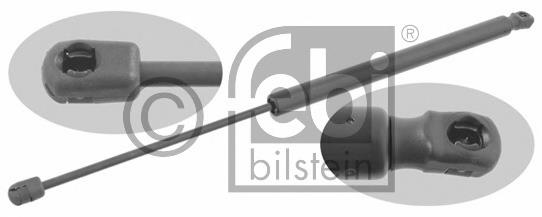 Amortecedor de tampa de porta-malas (de 3ª/5ª porta traseira) 8200212598 Renault (RVI)