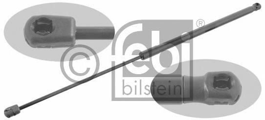 ME108171EX Euroex Amortecedor da capota direito