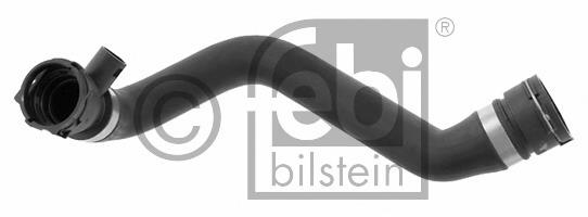 Compre 0819124 Trucktec Mangueira (cano derivado) inferior do radiador de esfriamento