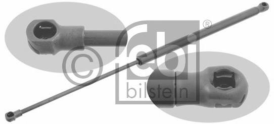 Amortecedor de tampa de porta-malas (de 3ª/5ª porta traseira) Peugeot/Citroen 8731J3