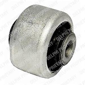 TD535W Delphi Bloco silencioso dianteiro do braço oscilante inferior