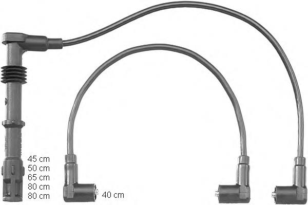 ZEF1195 Beru