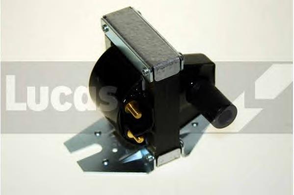 DLB403 Lucas
