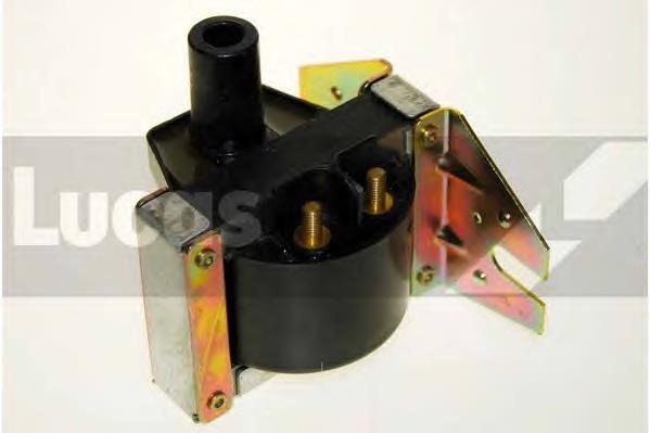 DLB109 Lucas