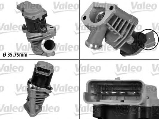 Compre 555012 ERA Válvula EGR de recirculação dos gases