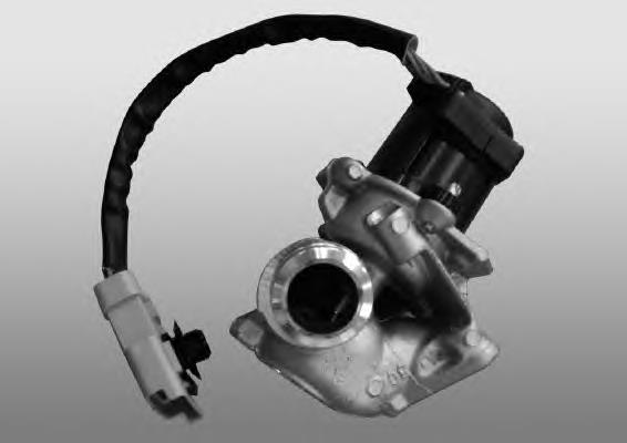 Compre 1748264 Ford Válvula EGR de recirculação dos gases