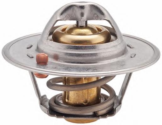 Termostato XF1E8575BA Ford