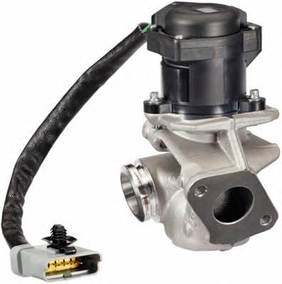 1748264 Ford Válvula EGR de recirculação dos gases