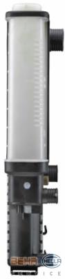 Radiador de esfriamento de motor 17111723784 BMW
