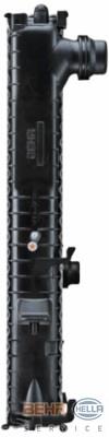 Radiador de esfriamento de motor BMW 17111436061